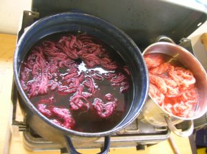 Natural Dyeing process at StraightCurves